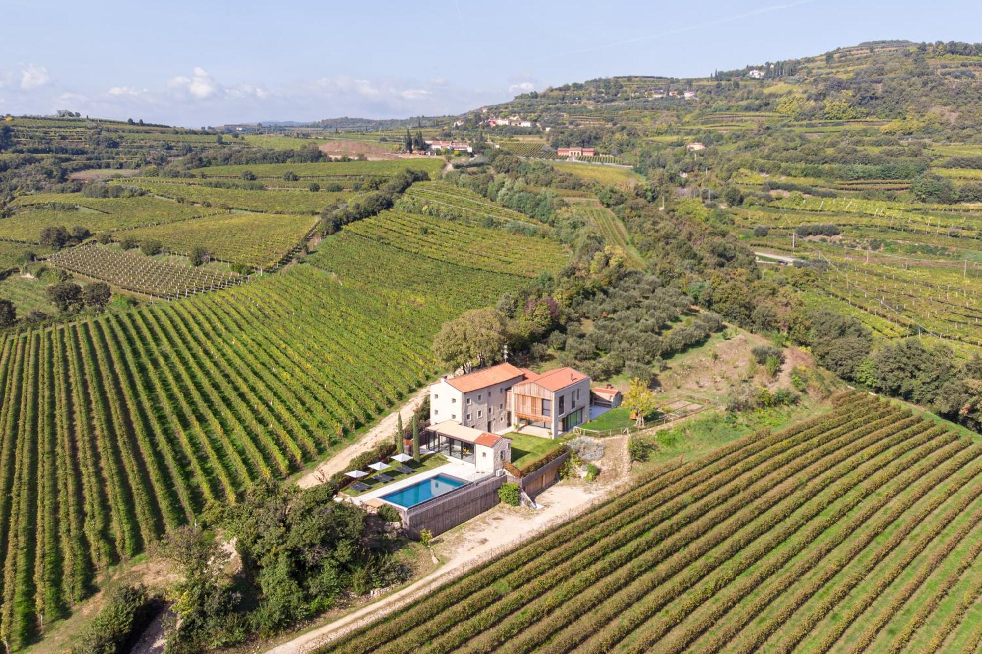 Arcadia Wine Soave (Verona)
