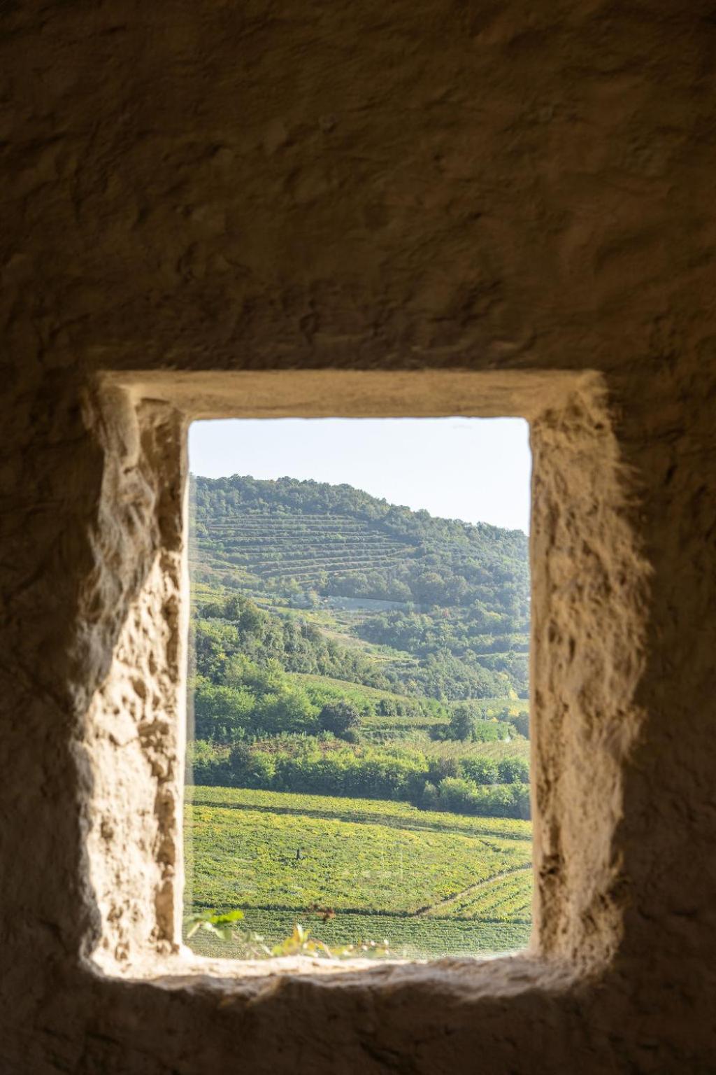 Landhuis Arcadia Wine Soave (Verona)